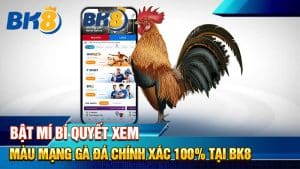 Bật Mí Bí Quyết Xem Màu Mạng Gà Đá Chính Xác 100% Tại BK8