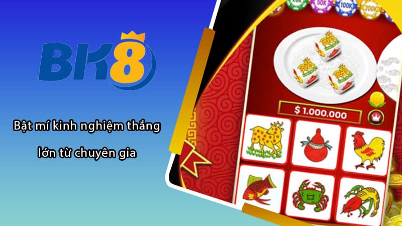 Bật mí kinh nghiệm thắng lớn từ chuyên gia