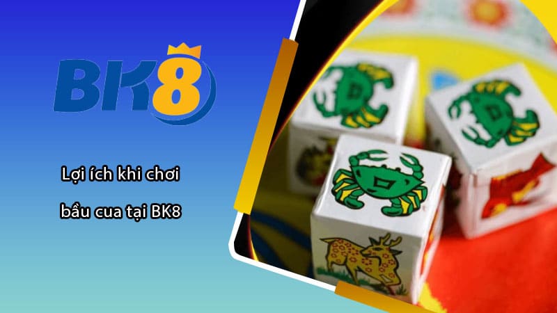 Lợi ích khi chơi bầu cua tại BK8